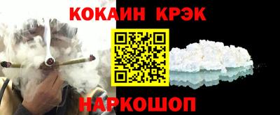 дживик Моздок