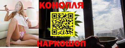 дживик Моздок