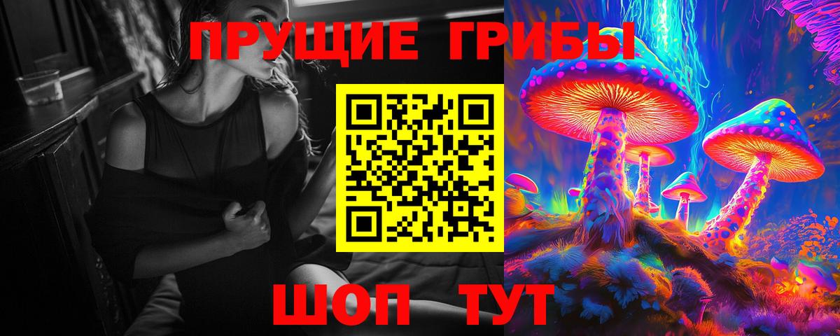 Богородск  Псилоцибиновые грибы мухоморы  Вход с VPN  Псилоцибиновые грибы мицелий 